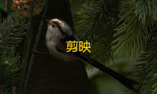 暗区突围无限科恩币破解版剪映